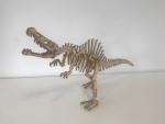 Spinosaurus as 3D Model